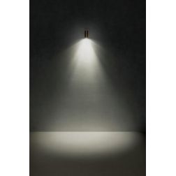 STAKE APPLIQUE DA ESTERNO IN OTTONE IP65 ANTI SALSEDINE 2 FINITURE COLORE LAMPADINA ATTACCO GU10 2