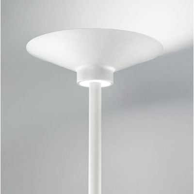 GPI PIANTANA A LED 48W LUCE 3000K DIMMERABILE LUCE UP & DOWN BIANCA O NERA H183 CM MODERNA