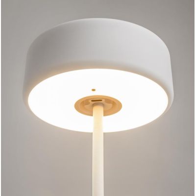 AI COLLABORATION LUMETTO IN METALLO 3 COLORI CON BATTERIA RICARICABILE LED 3W TOUCH DIMMER