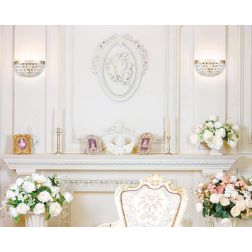OTTILIA APPLIQUE IN CRISTALLO E METALLO ORO RAFFINATA ED ELEGANTE LAMPADINE ATTACCO E14 STILE CLASSICO 2