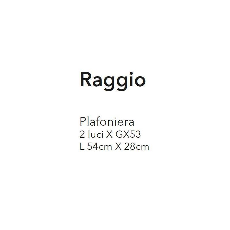 RAGGIO PLAFONIERA 2 LUCI MODERNA ED ECONOMICA METALLO BIANCO O TORTORA CON ATTACCO GX53 CRISTALENSI LUX - Cristalensi Shop Onlin