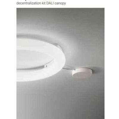 KIT DECENTRAMENTO DALI CANOPY D16 Linea Light - Cristalensi Shop Online