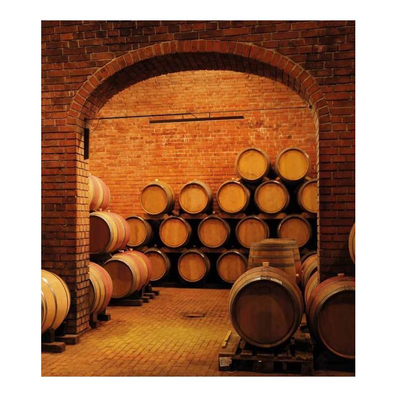 LIRA AISI ILLUMINAZIONE A CAVO PER ESTERNI IP65 IN METALLO NERO O MARRONE LED 31W LUCE 3000K Linea Light - Cristalensi Shop Onli