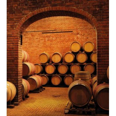 LIRA AISI ILLUMINAZIONE A CAVO PER ESTERNI IP65 IN METALLO NERO O MARRONE LED 31W LUCE 3000K Linea Light - Cristalensi Shop Onli