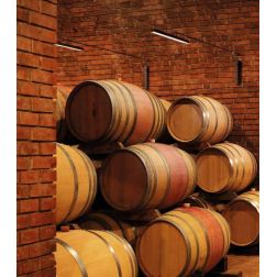 LIRA AISI ILLUMINAZIONE A CAVO PER ESTERNI IP65 IN METALLO NERO O MARRONE LED 31W LUCE 3000K Linea Light - Cristalensi Shop Onli 2