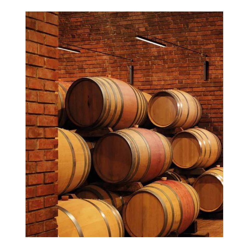 LIRA AISI ILLUMINAZIONE A CAVO PER ESTERNI IP65 IN METALLO NERO O MARRONE LED 31W LUCE 3000K Linea Light - Cristalensi Shop Onli