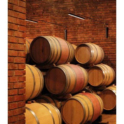 LIRA AISI ILLUMINAZIONE A CAVO PER ESTERNI IP65 IN METALLO NERO O MARRONE LED 31W LUCE 3000K Linea Light - Cristalensi Shop Onli