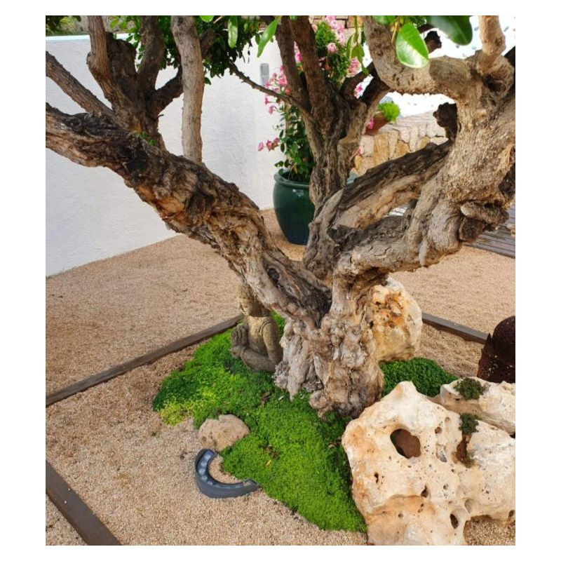 SIGNAL SEMINCASSO LED 9W IP65 PER ILLUMINAZIONE DI ALBERI AD ALTO FUSTO BENEITO FAURE - Cristalensi Shop Online