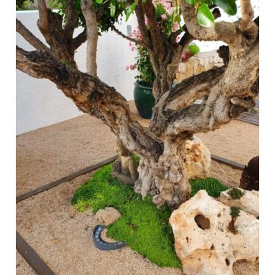 SIGNAL SEMINCASSO LED 9W IP65 PER ILLUMINAZIONE DI ALBERI AD ALTO FUSTO BENEITO FAURE - Cristalensi Shop Online