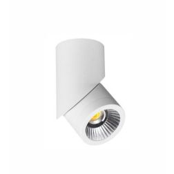 PLUS PLAFONIERA CILINDRICA CON PROIETTORE A LED 8W BIANCO O NERO DIREZIONABILE BENEITO FAURE - Cristalensi Shop Online
