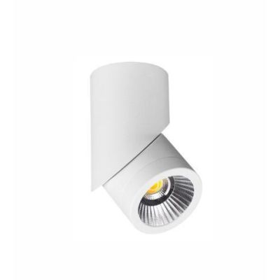 PLUS PLAFONIERA CILINDRICA CON PROIETTORE A LED 8W BIANCO O NERO DIREZIONABILE BENEITO FAURE - Cristalensi Shop Online