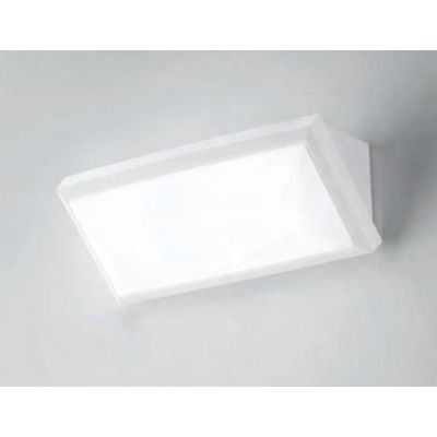 306 APPLIQUE DA ESTERNO ANTI SALSEDINE IP65 LED 12W 3000K O 4000K BIANCO E ANTRACITE ECONOMICA ISYLUCE - Cristalensi Shop Online