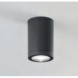 PLAFONIERA DA ESTERNO A CILINDRO ANTI SALSEDINE IP54 BIANCO E ANTRACITE ATTACCO GU10 ISYLUCE - Cristalensi Shop Online