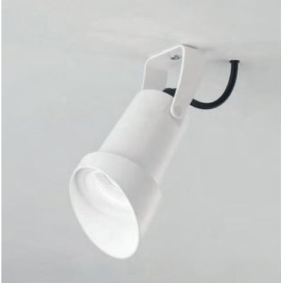316-317 FARETTO DA ESTERNO ORIENTABILE IP65 ANTI SALSEDINE BIANCO E ANTRACITE ATTACCO GU10 ISYLUCE - Cristalensi Shop Online