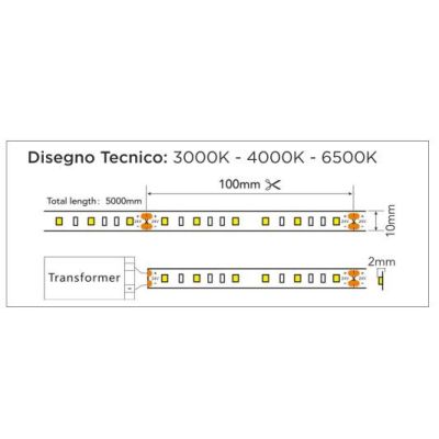 STRIP LED 12W/M IP20 24VDC ROLLA DA 5 METRI LUCE 3000K,4000K O 6500K CRISTALENSI LAMPADINE - Cristalensi Shop Online