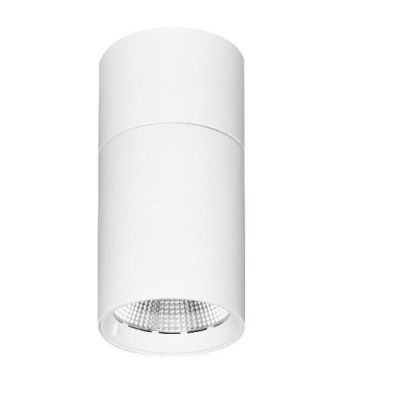 NOX PLAFONIERA PROIETTORE DIREZIONABILE A LED 30W 2700K 3000K E 4000K BIANCA O NERA BENEITO FAURE - Cristalensi Shop Online