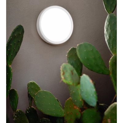 AIDI PLAFONIERA DA ESTERNO D25 IP65 ANTI SALSEDINE LED 15W GRIGIO,BIANCO O ANTRACITE ROTONDA MODERNA ONDALUCE CICIRIELLO - Crist