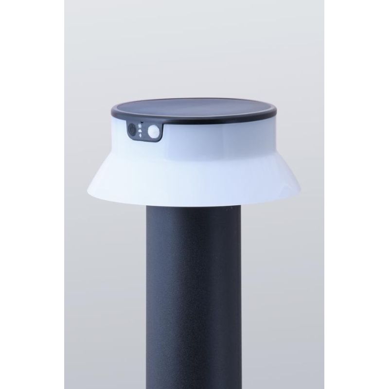 FELICE PALO NERO H73 CM IP55 AD ENERGIA SOLARE E CON SENSORE DI MOVIMENTO LED 2W DARK LIGHT - Cristalensi Shop Online