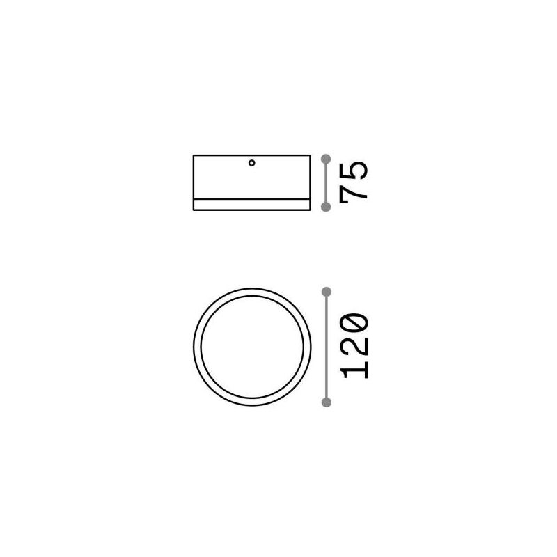 PICCOLA APPLIQUE O PLAFONIERA DA ESTERNI IP44 BIANCO O ANTRACITE FORMA ROTONDA 2 MISURE CRISTALENSI - Cristalensi Shop Online