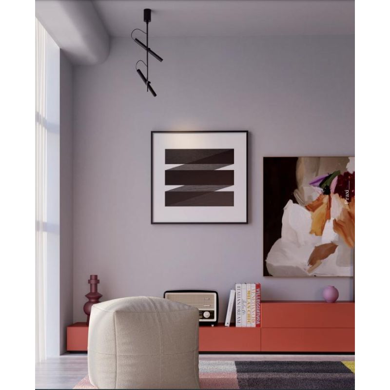 PRAXI LAMPADA DA SOFFITTO CON 2 DIFFUSORI ORIENTABILI IN METALLO 3 COLORI LED 14W LUCE 2700K-3000K