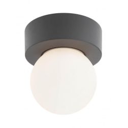 BULK APPLIQUE PLAFONIERA IP44 DA ESTERNO ANTRACITE CON SFERA BIANCA OPALE LAMPADINA ATTACCO E27