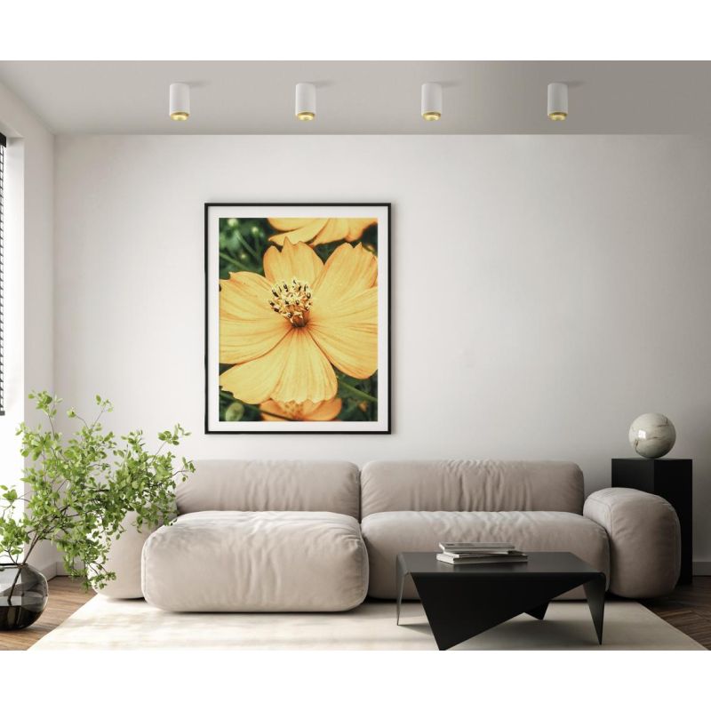 PROPILEI PLAFONIERA A CILINDRO IN GESSO CON ANELLO IN ALLUMINIO DI 4 COLORI LAMPADINA ATTACCO GU10