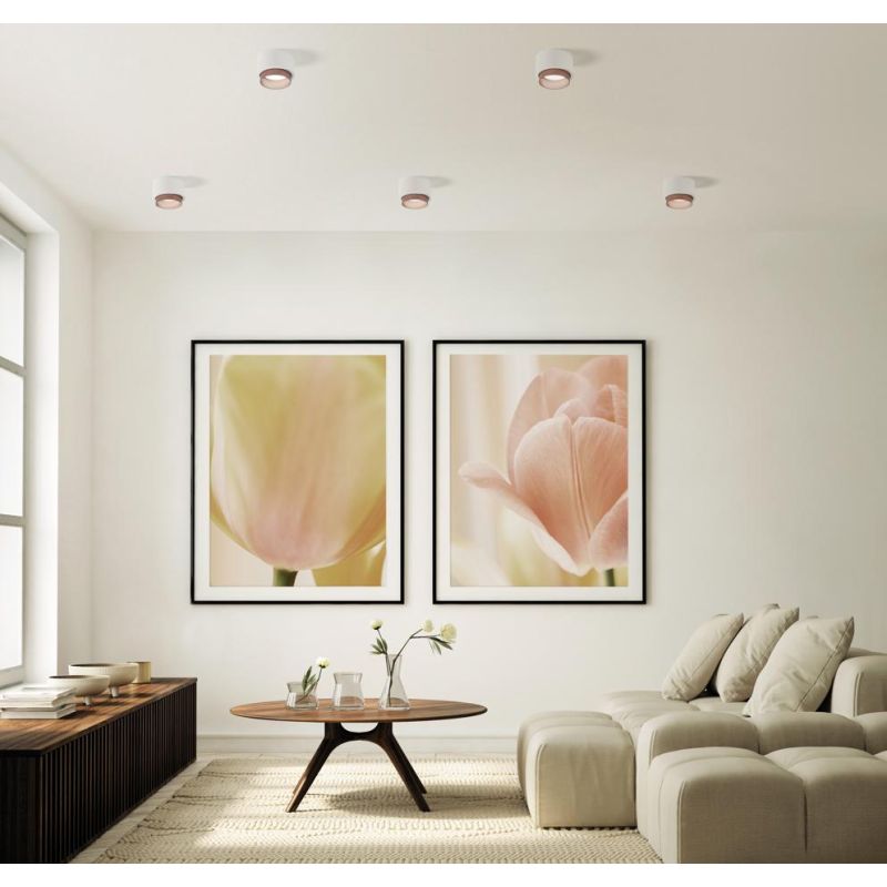 SYME PLAFONIERA ROTONDA IN GESSO CON CORNICE IN ALLUMINIO DI 4 COLORI LAMPADINA ATTACCO GX53