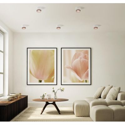 SYME PLAFONIERA ROTONDA IN GESSO CON CORNICE IN ALLUMINIO DI 4 COLORI LAMPADINA ATTACCO GX53