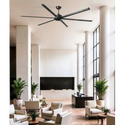 ROTTERDAM 25 VENTILATORE D250 CM SENZA LUCE BIANCO O NERO CON 6 PALE TELECOMANDO INCLUSO 2
