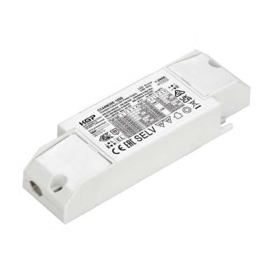 DRIVER ON/OFF CC44W300-1050 DELLA LINEA LIGHT