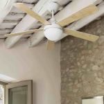 Ventilatori a soffitto con luce